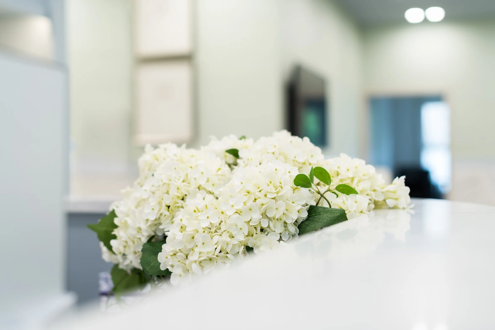BUCKINGHAM VALLEY REHABILITATION AND NURSINGCENTER