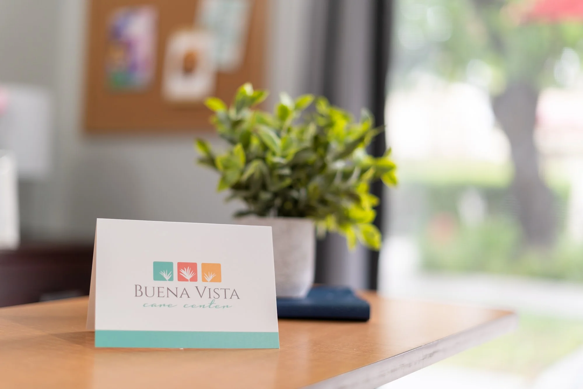 BUENA VISTA CARE CENTER