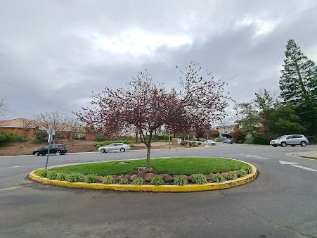 CALIFORNIA PARK POST ACUTE