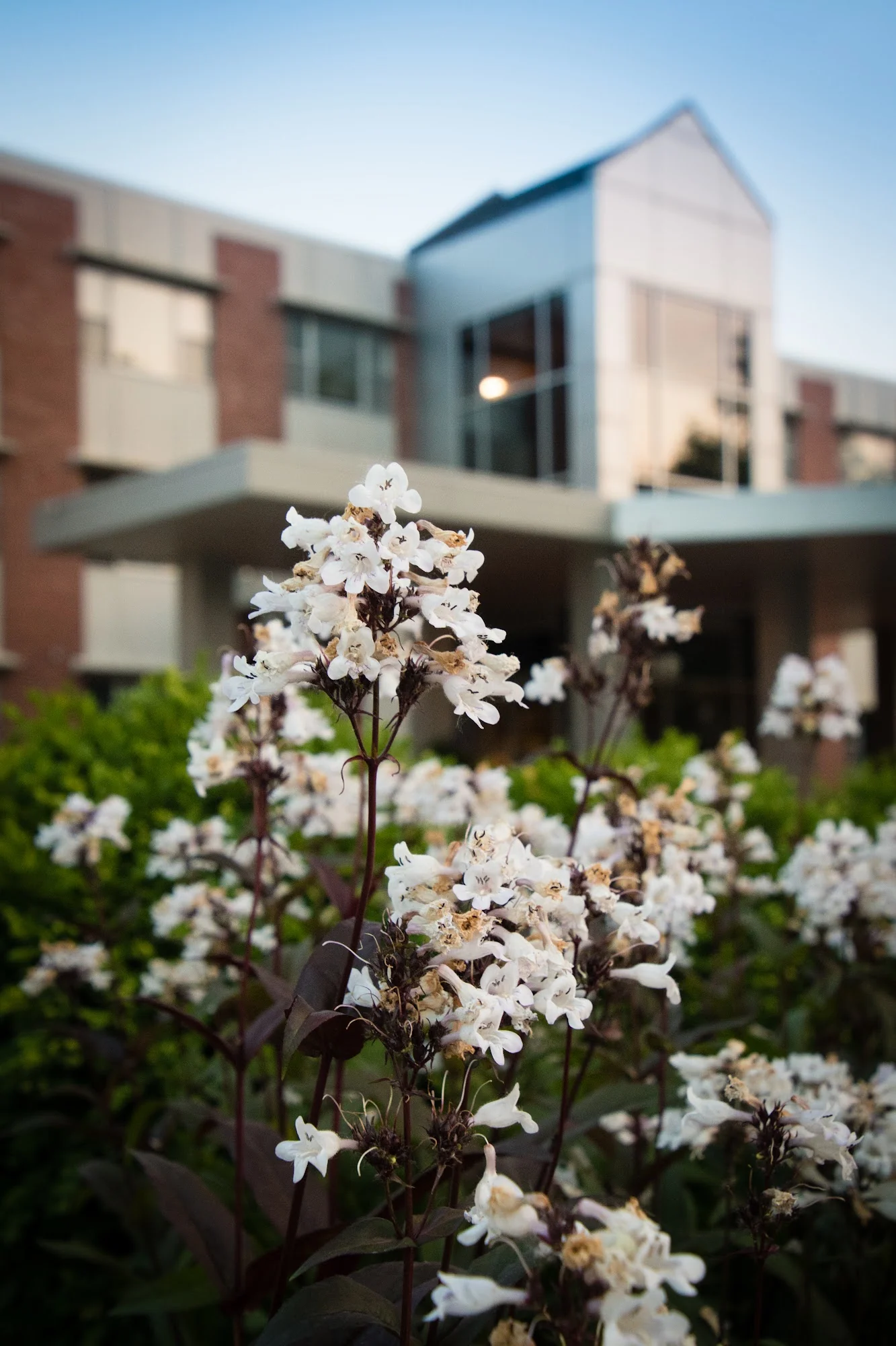 CALVIN COMMUNITY