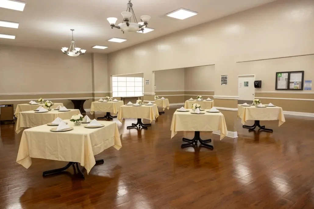 CAMINO HEALTHCARE