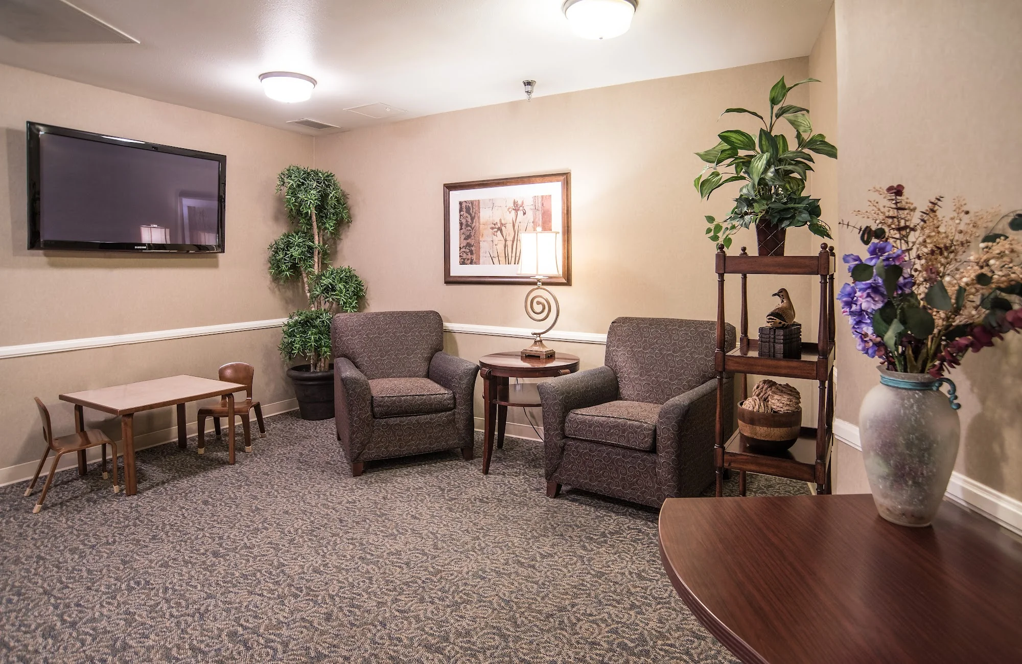 CANYON TRANSITIONAL REHABILITATION CENTER, LLC