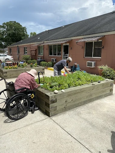 CAPITAL OAKS NURSING & REHABILITATION CENTER LLC