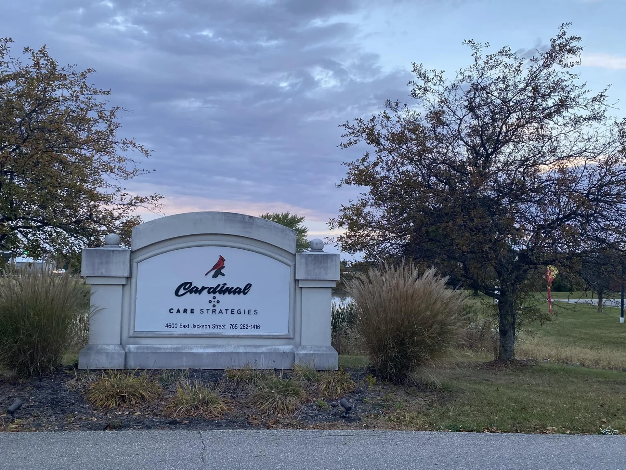 CARDINAL CARE STRATEGIES