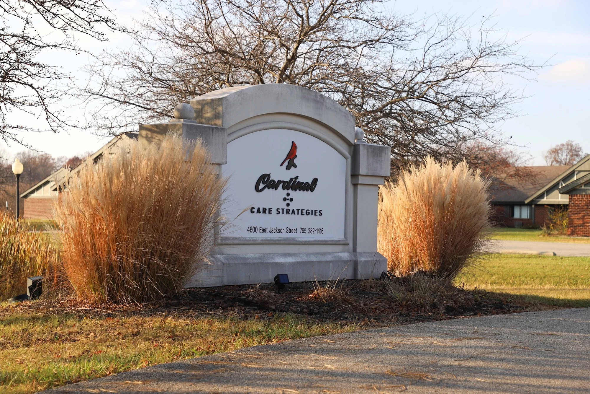 CARDINAL CARE STRATEGIES