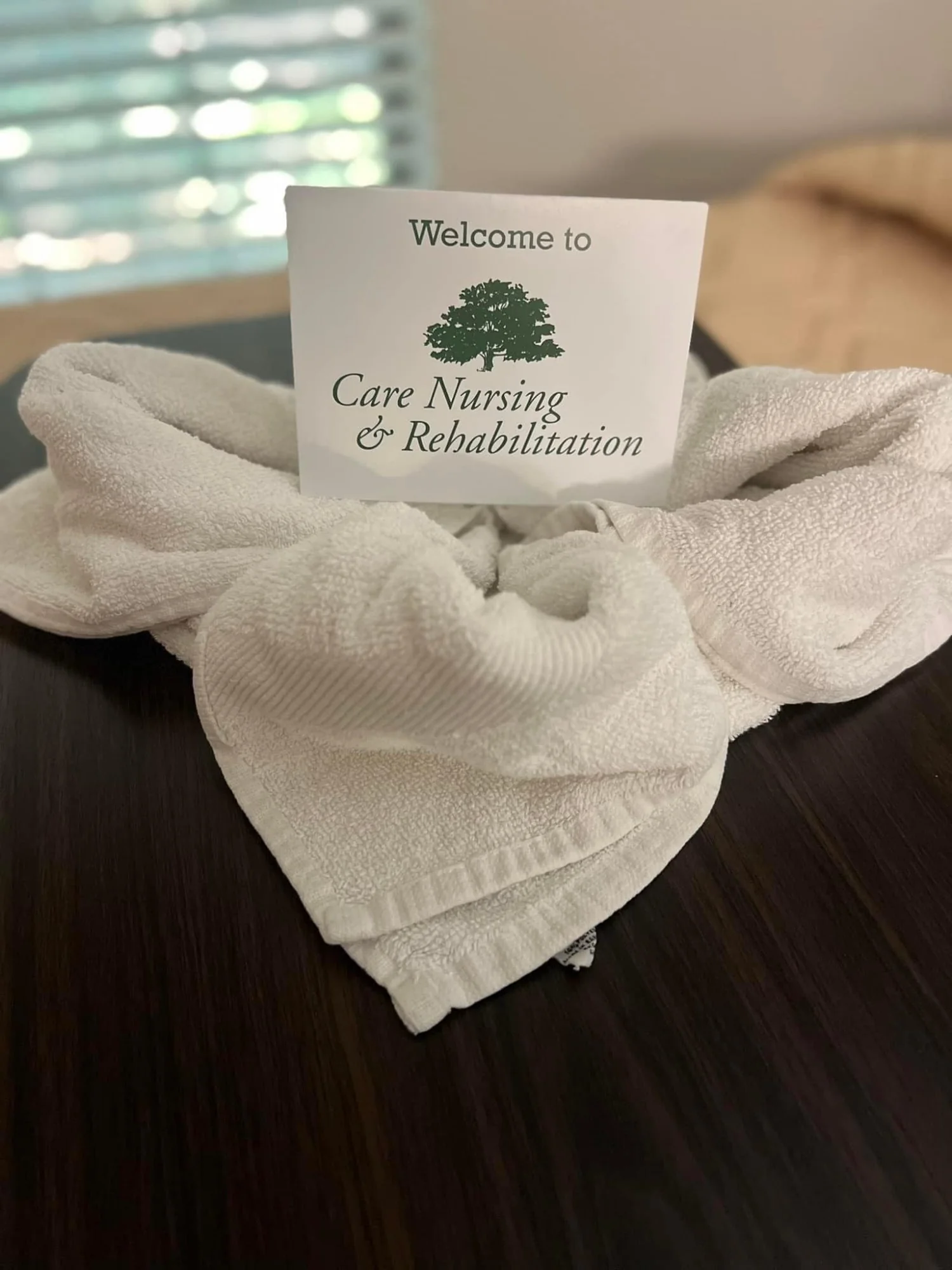 CARE NURSING & REHABILITATION