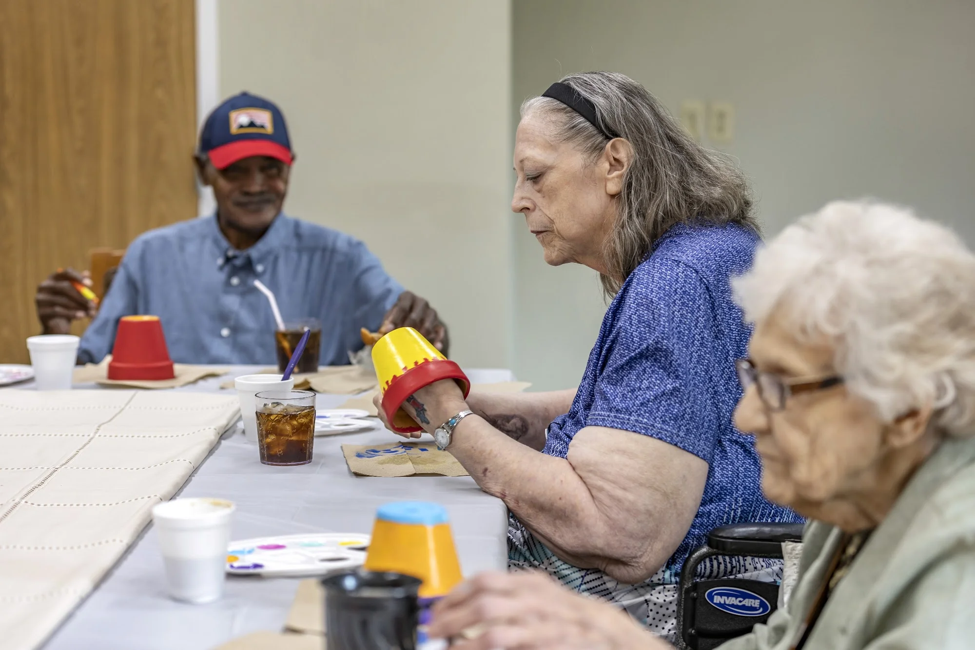 CARLINVILLE REHAB & HCC