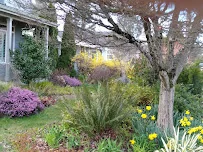 CAROLINE KLINE GALLAND HOME
