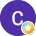 CAROLTON CHRONIC & CONVALESCENT HOSPITAL INC