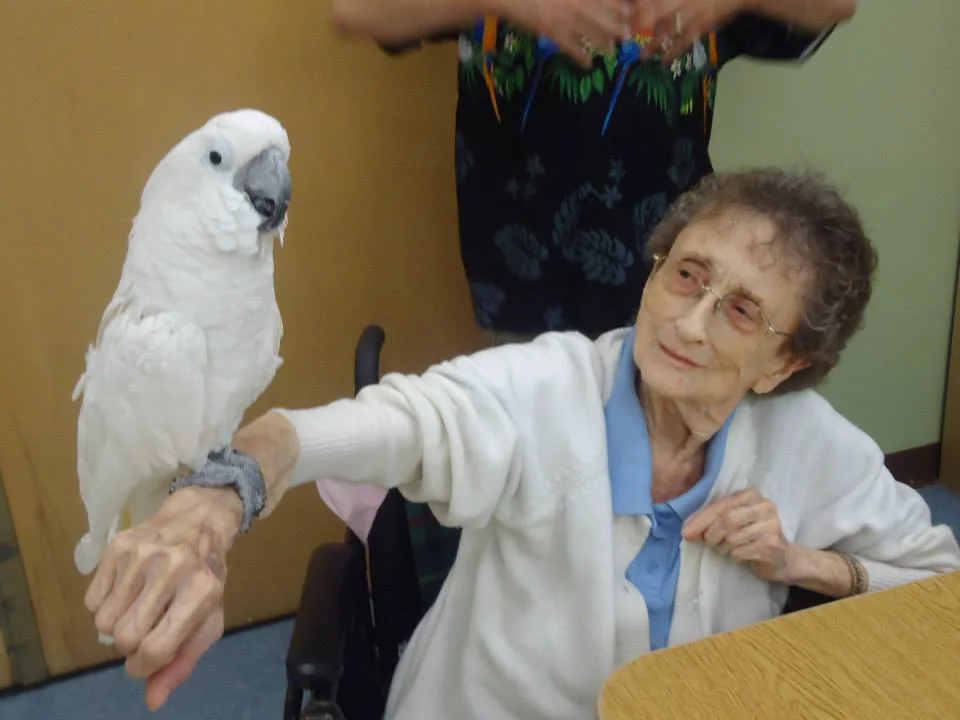 CARRIAGE HILL HEALTH  & REHAB CENTER