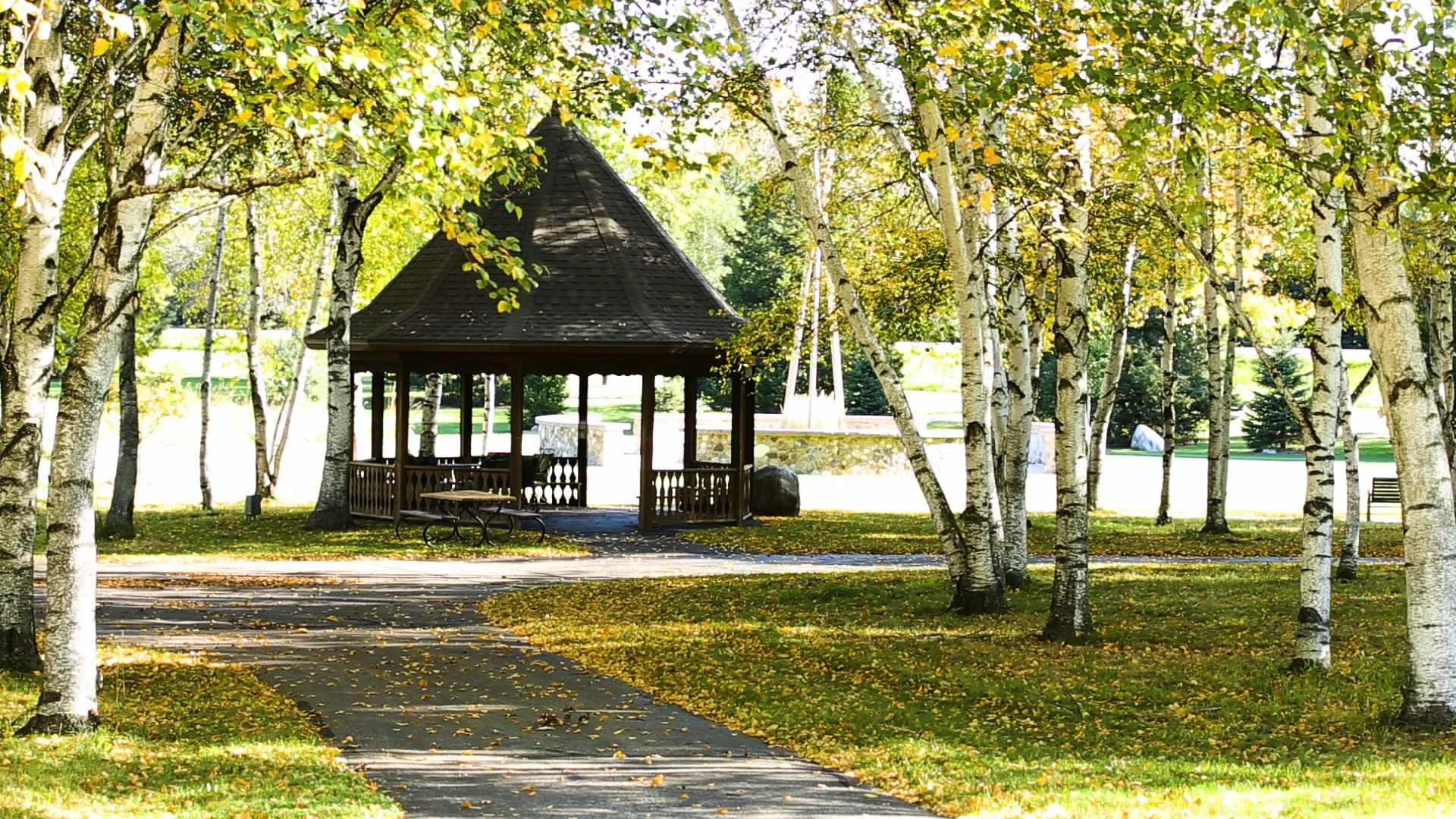 CEDAR LAKE HEALTH AND REHAB CENTER