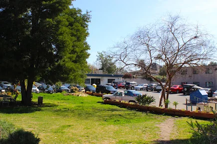 CEDAR PINE POST ACUTE