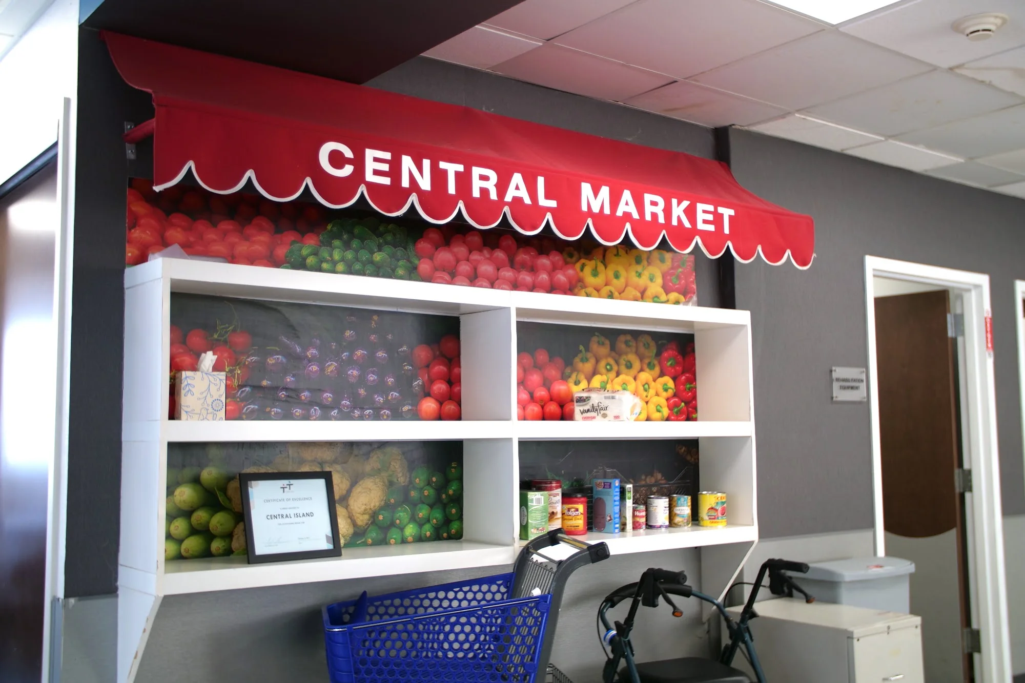 CENTRAL ISLAND HEALTHCARE