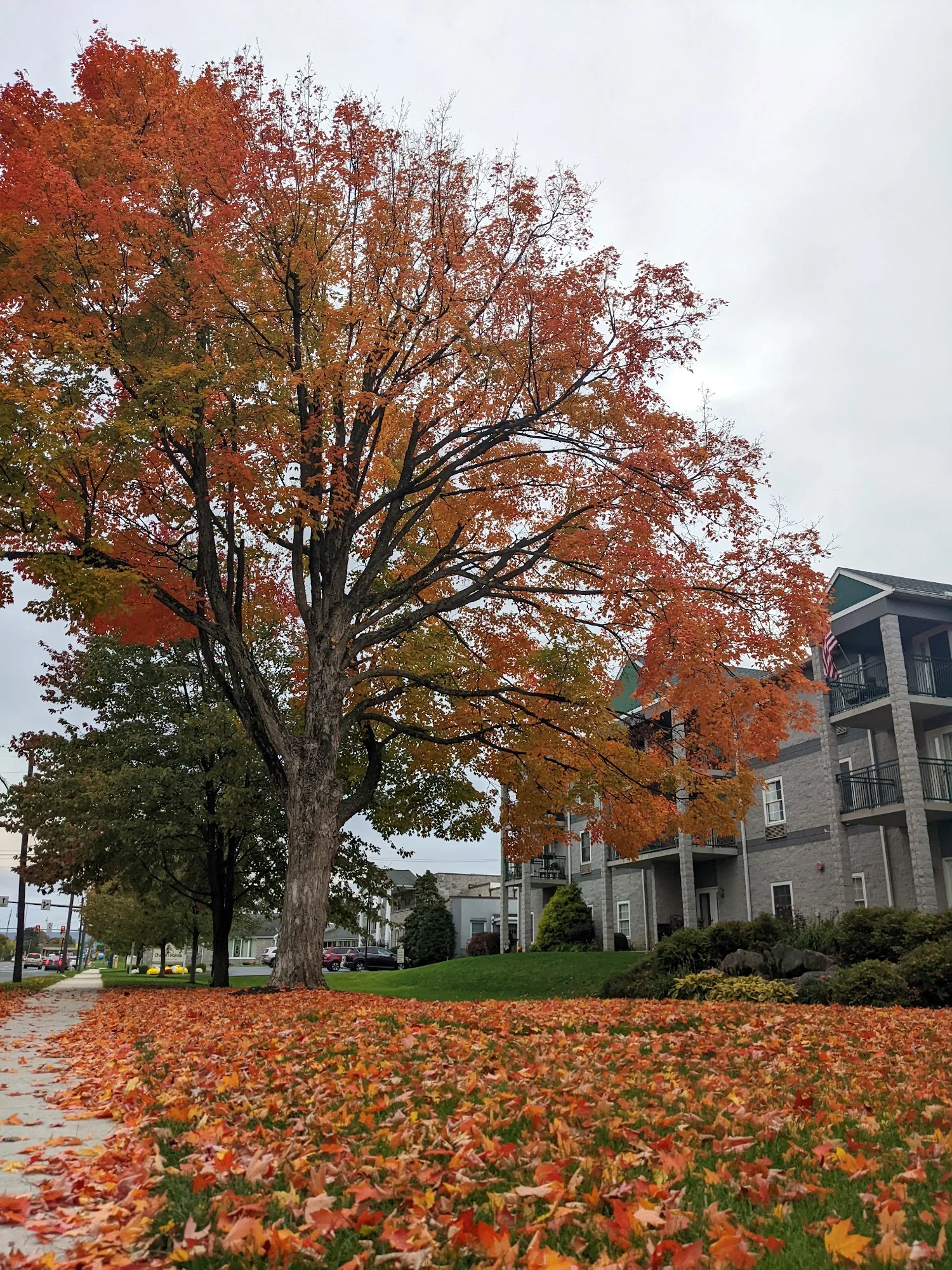 CHAPEL POINTE AT CARLISLE