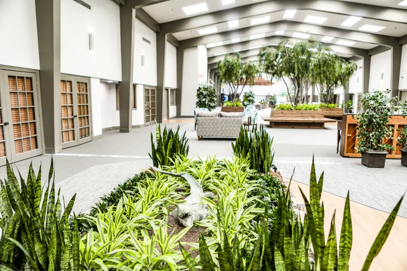 CHATEAU LIVING CENTER