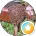 CHELSEA PLACE CARE CENTER LLC
