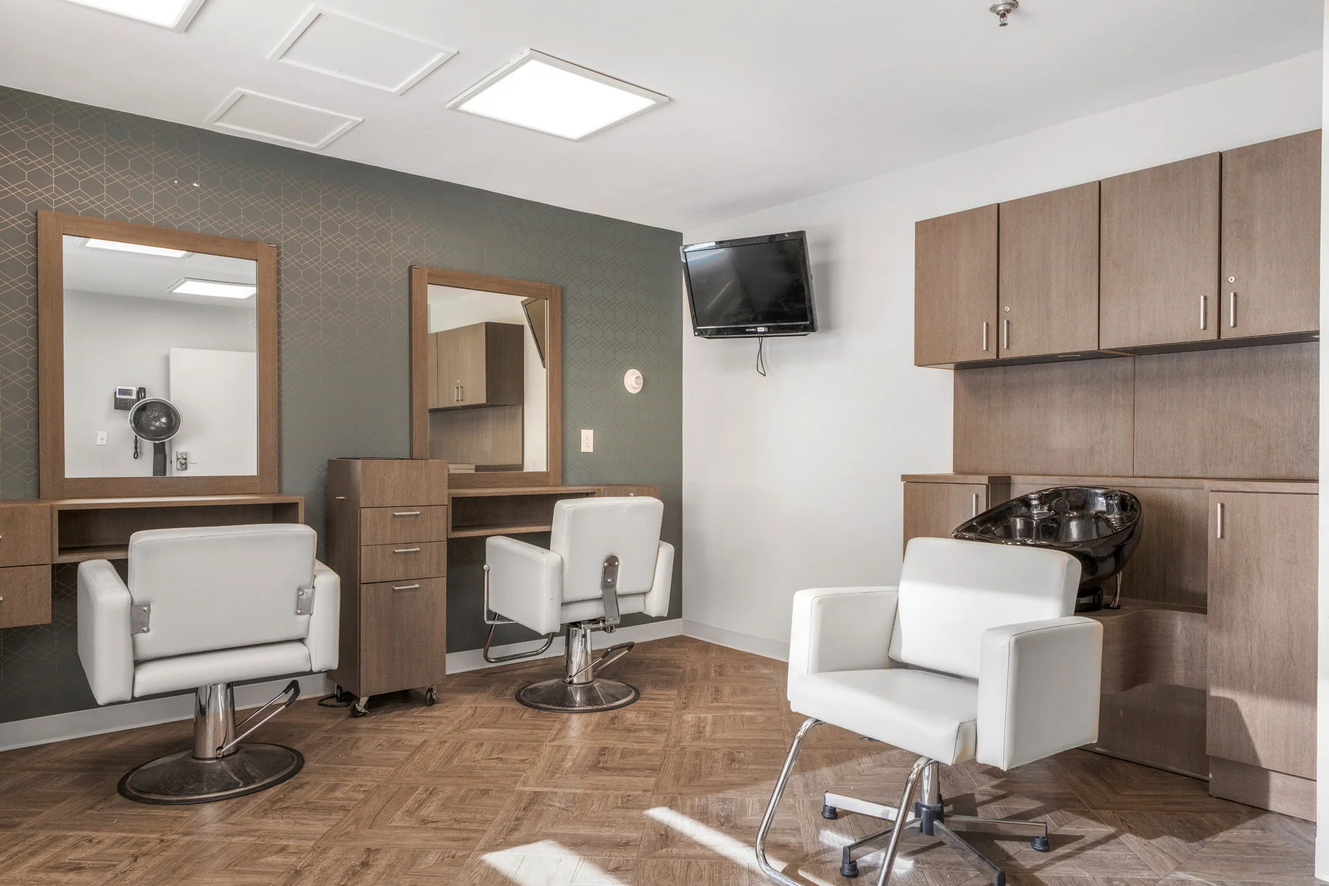 CHESTNUT WOODS REHABILITATION AND HEALTHCARE CTR