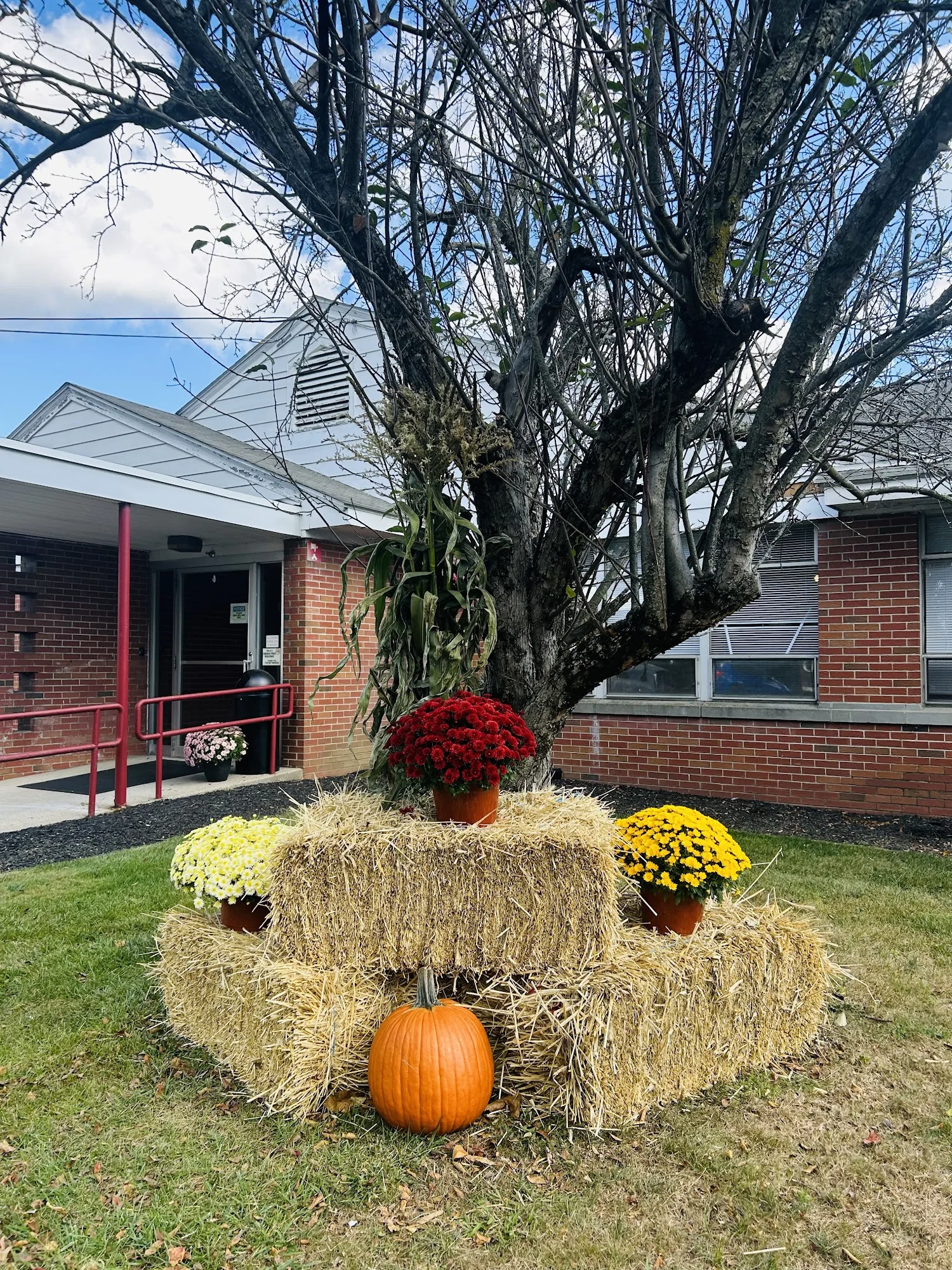 CHICOPEE REHABILITATION AND NURSING