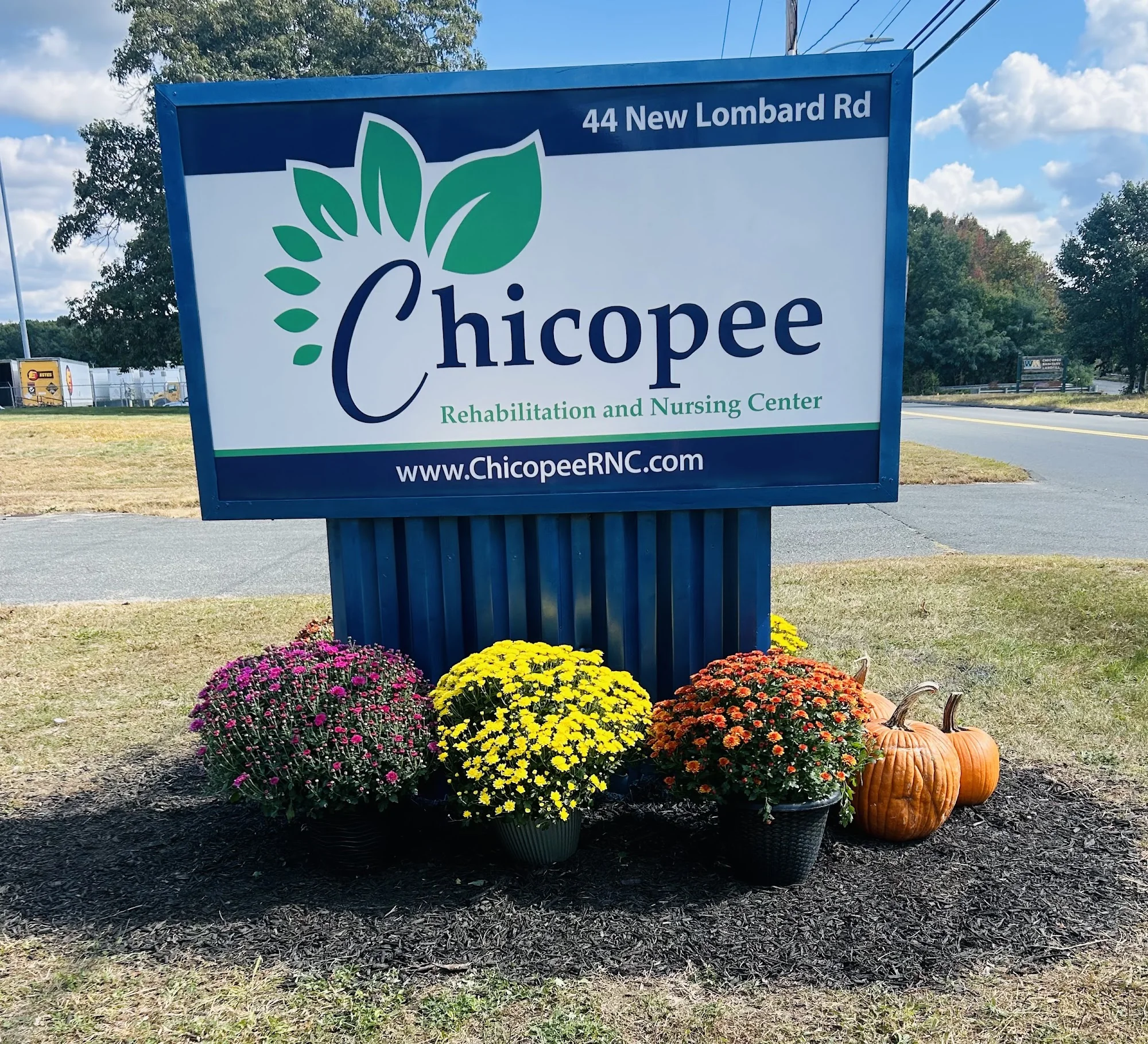 CHICOPEE REHABILITATION AND NURSING