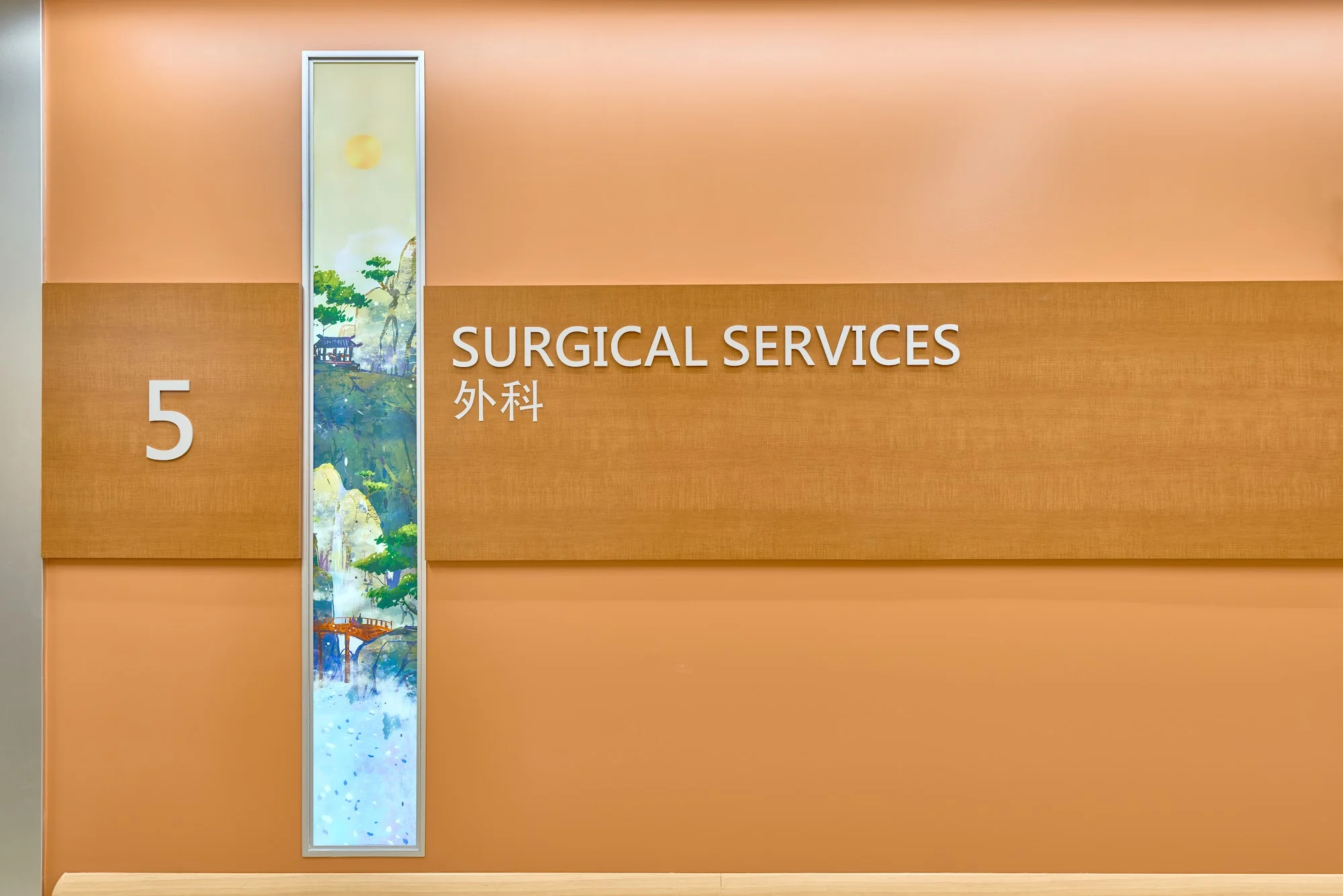 CHINESE HOSPITAL D/P SNF