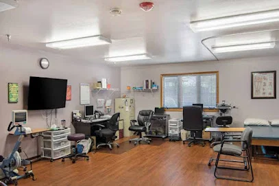 COLONIAL REHABILITATION AND NURSING, LLC
