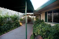 COMMUNITY CARE ON PALM