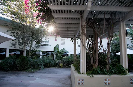 COMMUNITY CARE ON PALM
