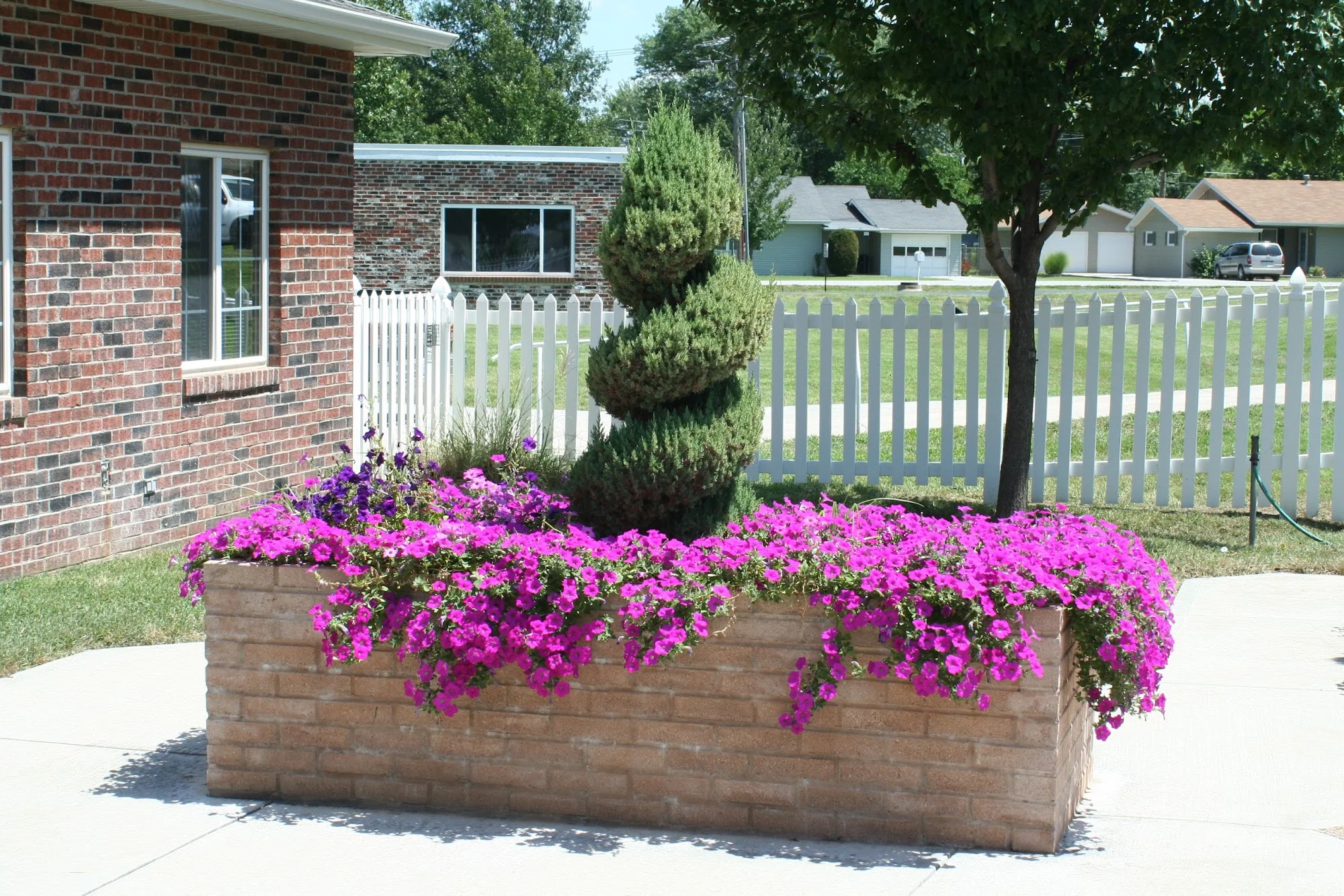 COMMUNITY SPRINGS HEALTHCARE FACILITY