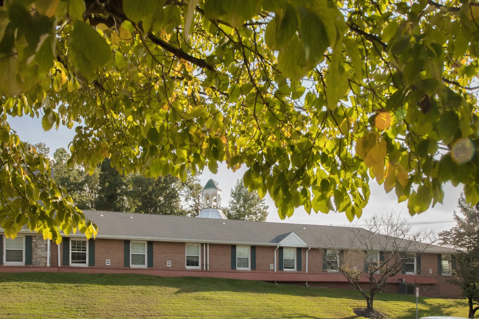 COMPLETE CARE AT SPRINGBROOK