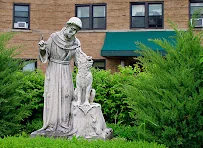 COMPREHENSIVE REHAB & NURSING CTR AT WILLIAMSVILLE