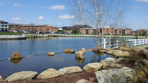 CONCORDIA LUTHERAN HEALTH AND HUMAN CARE
