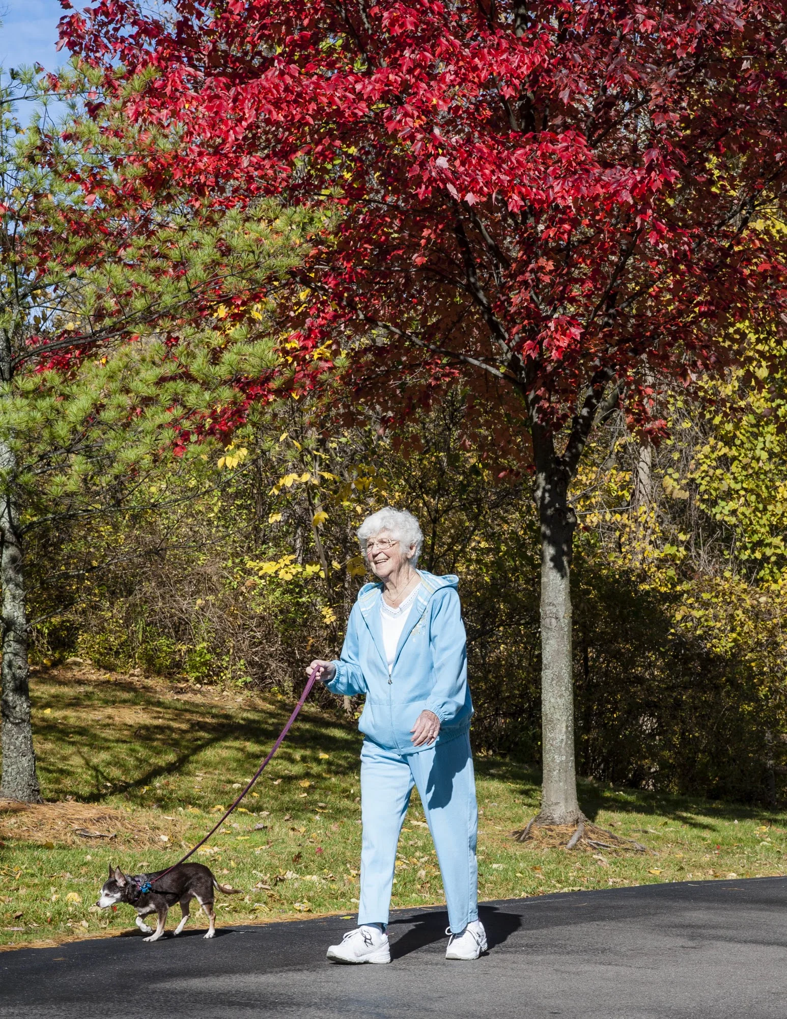 COREWELL HEALTH REHAB & NURSING CENTER-COMMONS FARMINGTON HILLS