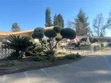 CORNERSTONE CARE CENTER