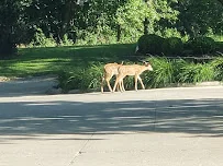 COUNTRY CLUB RETIREMENT CENTER