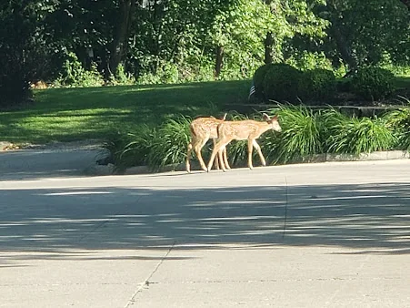 COUNTRY CLUB RETIREMENT CENTER