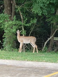 COUNTRY CLUB RETIREMENT CENTER