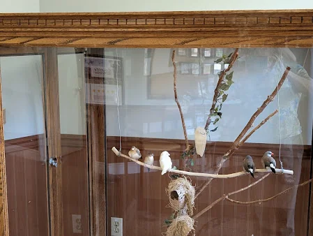COUNTRY MANOR LA MESA HEALTHCARE CENTER