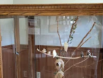 COUNTRY MANOR LA MESA HEALTHCARE CENTER