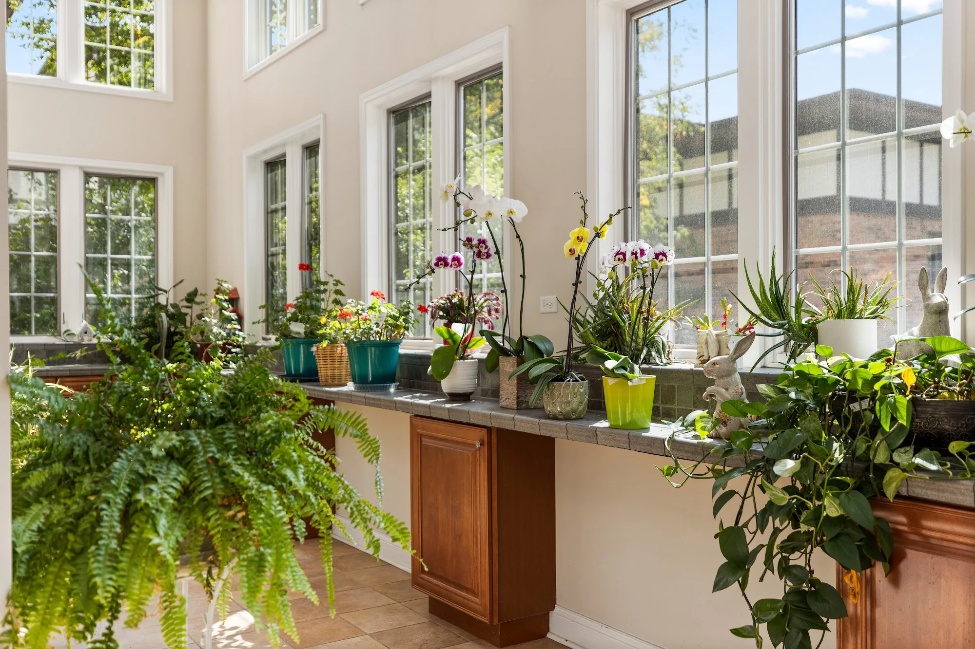 COVENANT LIVING - WINDSOR PARK