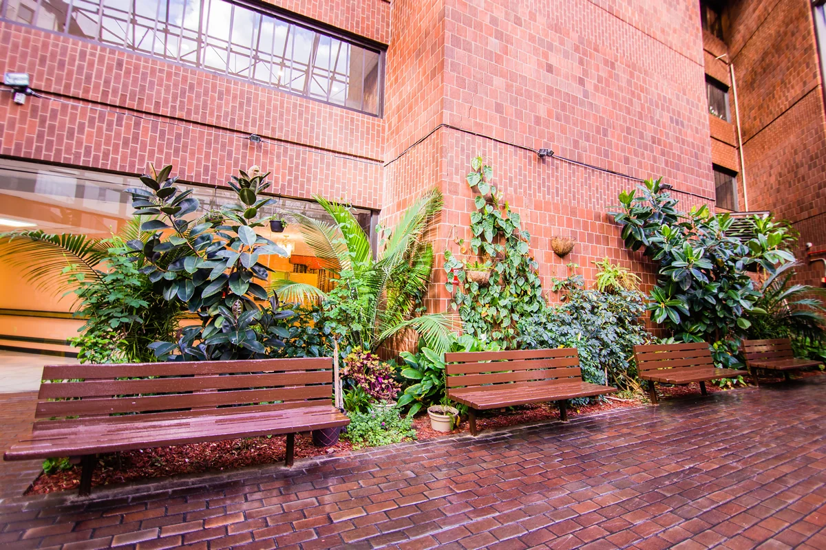 CROWN HEIGHTS CENTER FOR NURSING AND REHAB