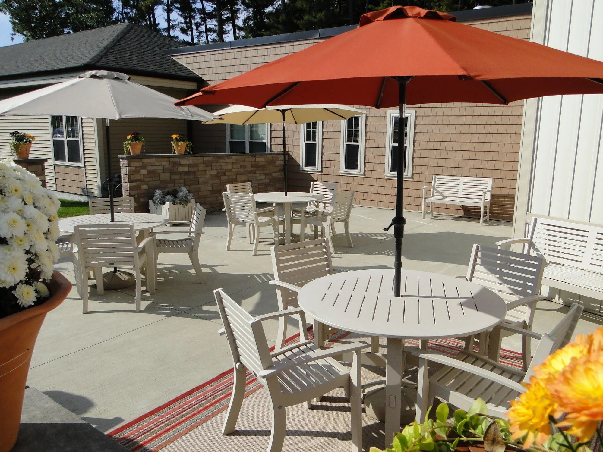 D'YOUVILLE SENIOR CARE