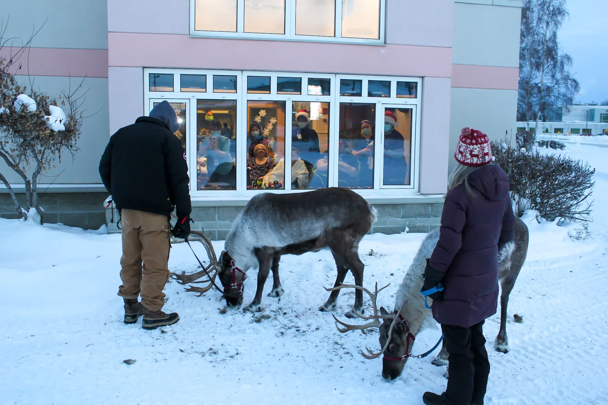 DENALI CENTER