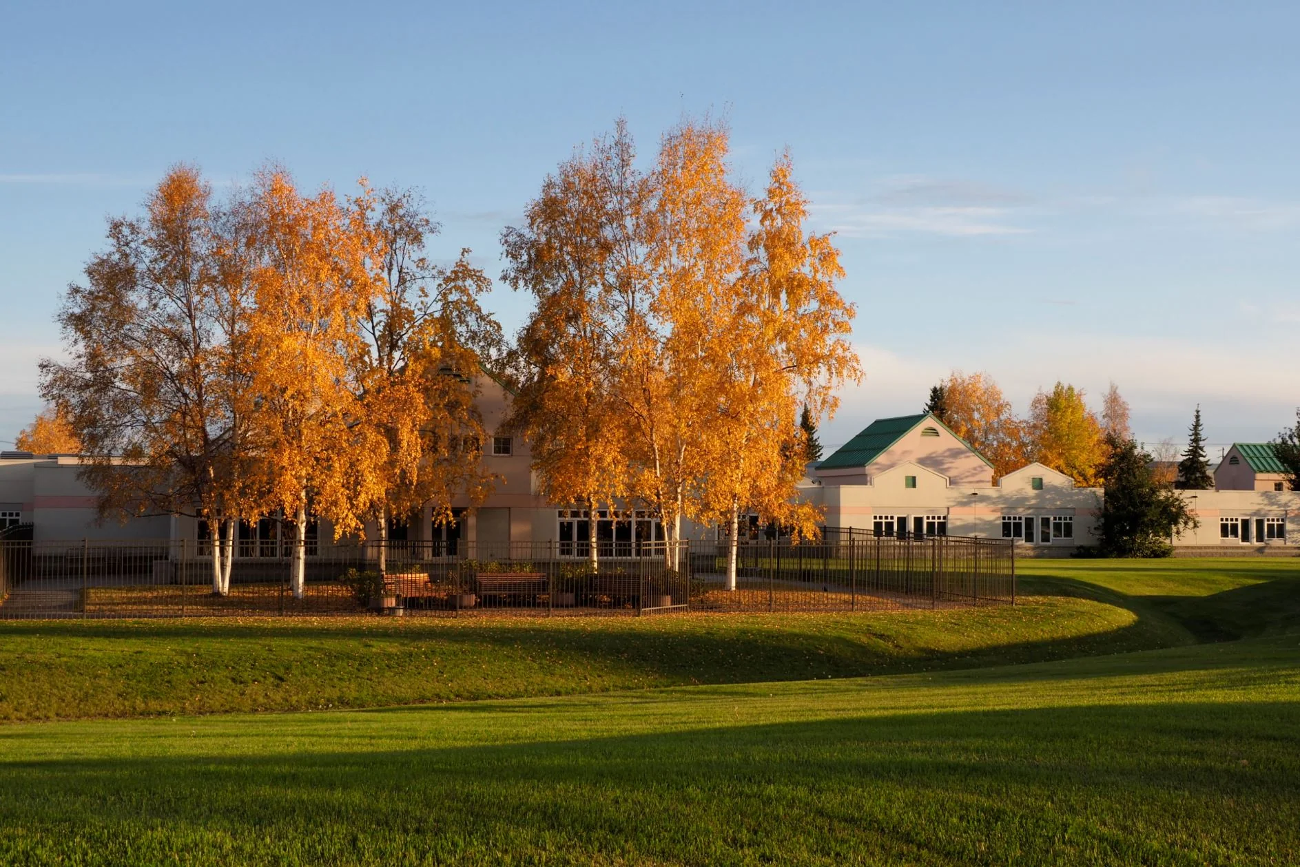 DENALI CENTER