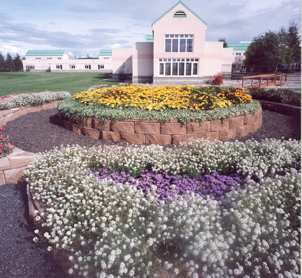 DENALI CENTER