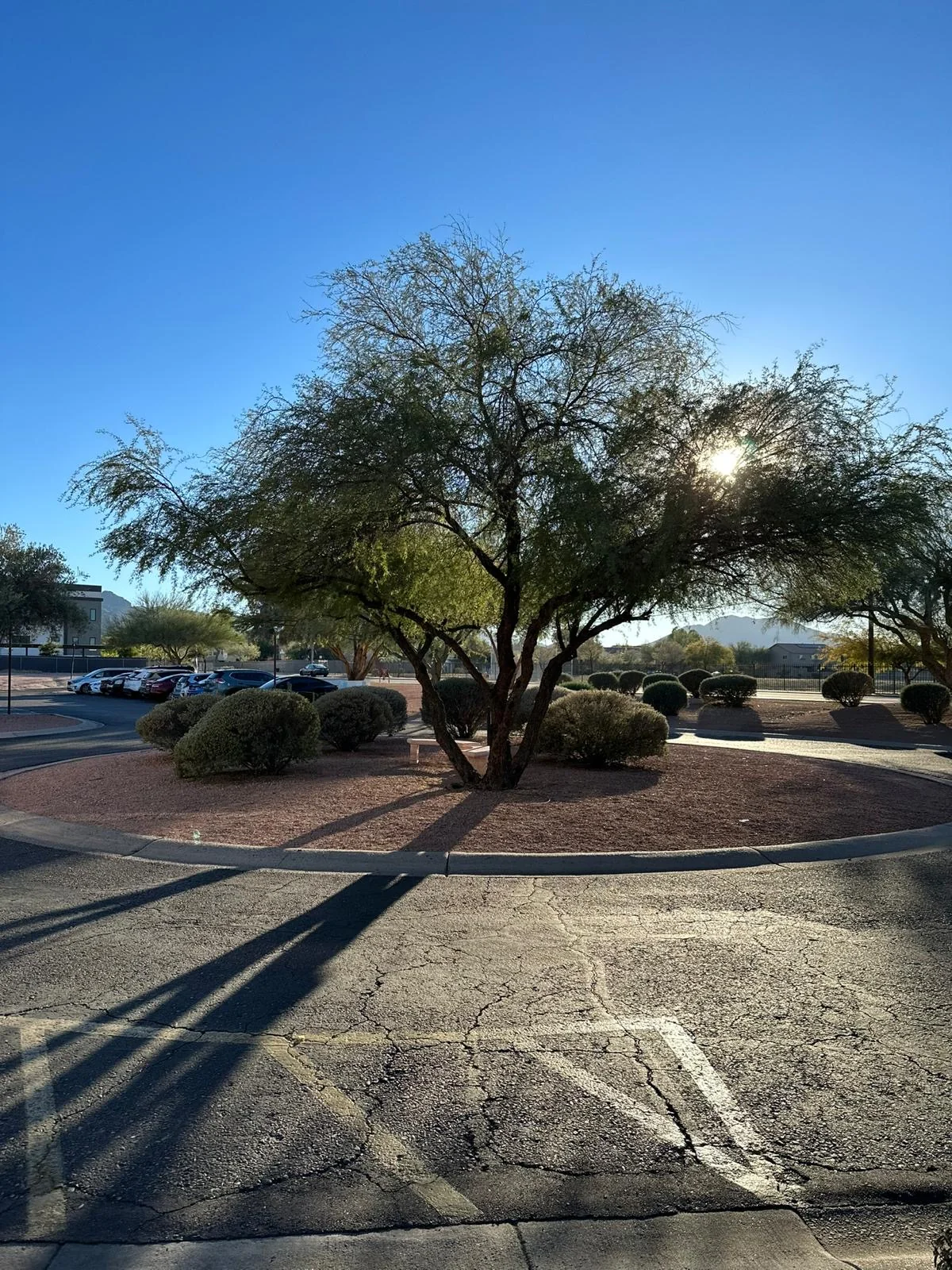DESERT PEAK CARE CENTER