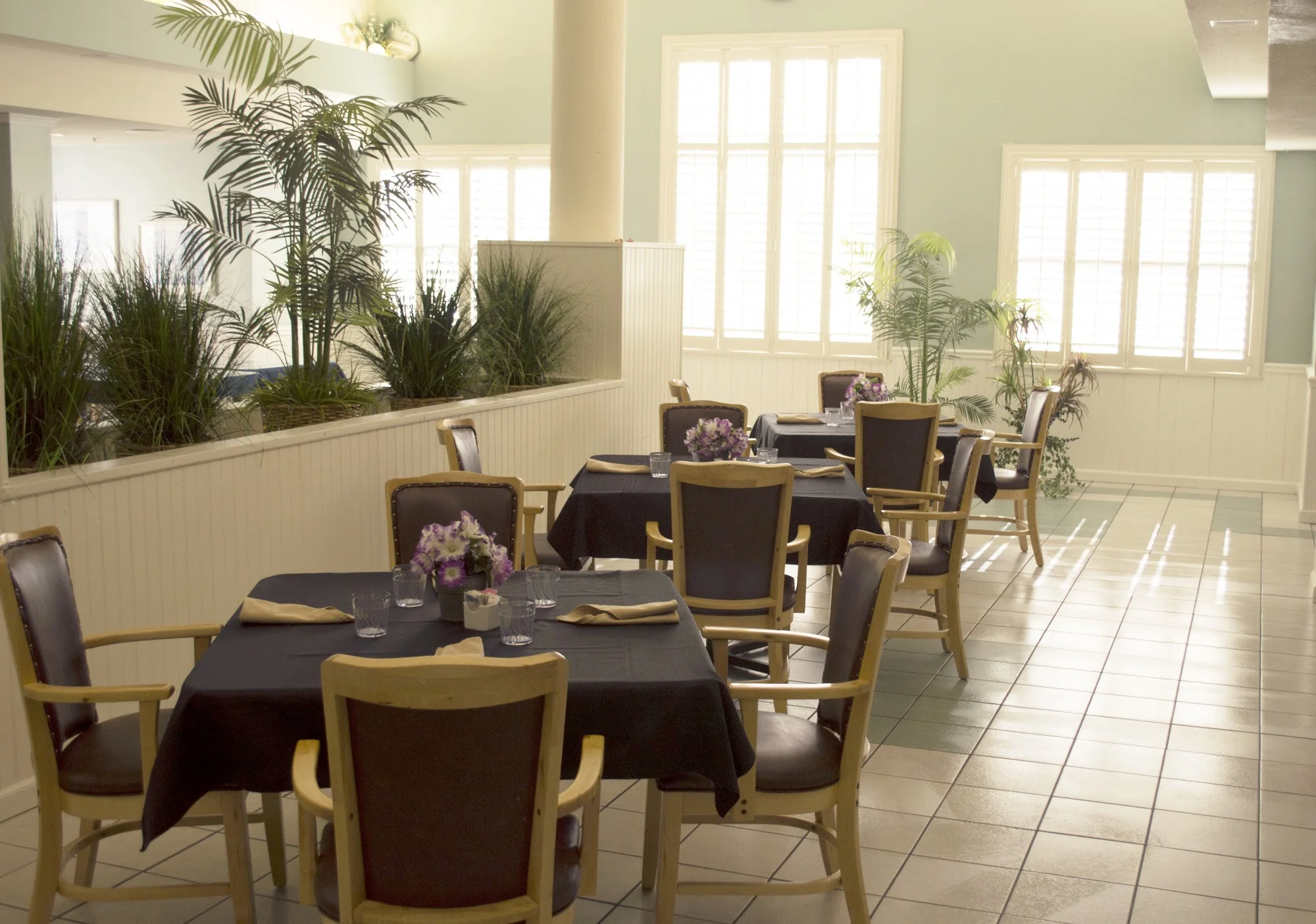 DIAMOND RIDGE HEALTH AND REHABILITATION CENTER
