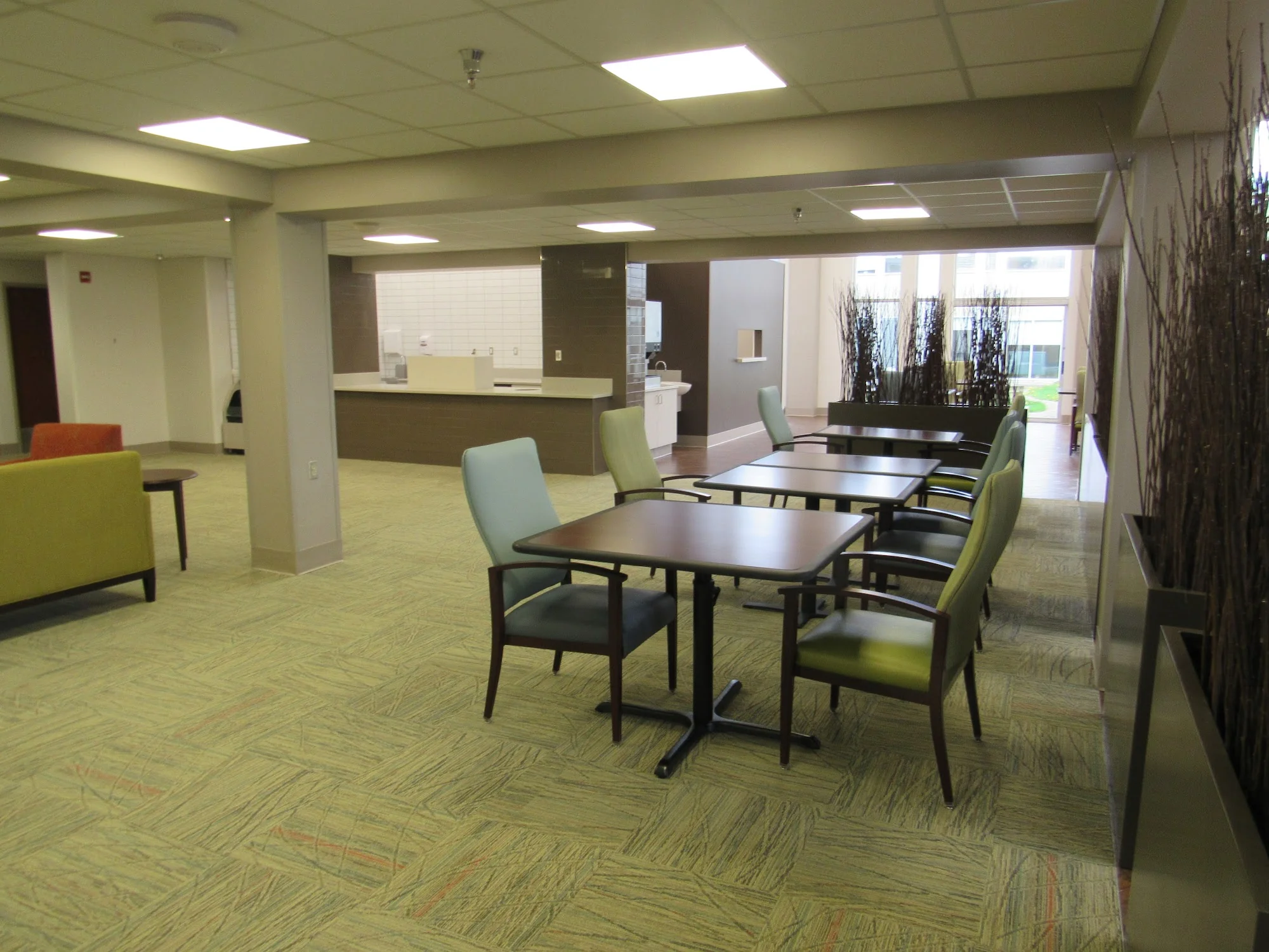 DIMONDALE NURSING CARE CENTER