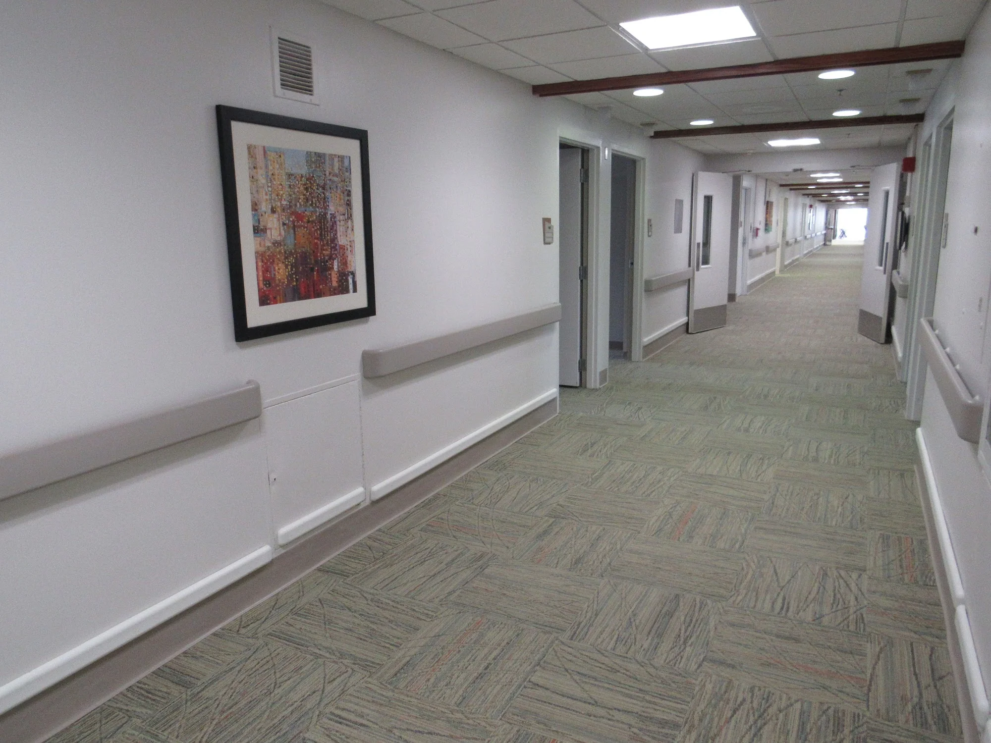 DIMONDALE NURSING CARE CENTER