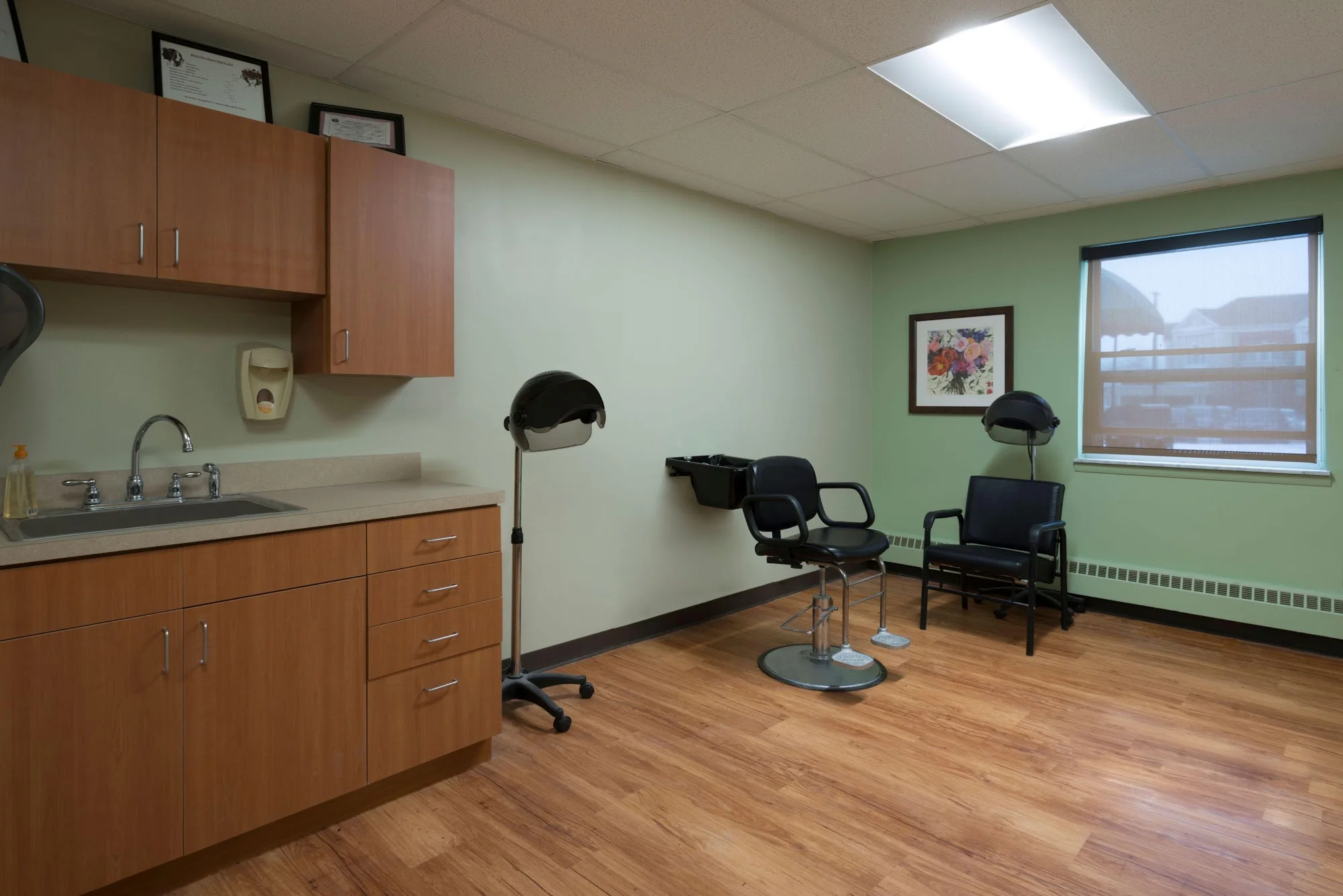 DIPLOMAT HEALTHCARE