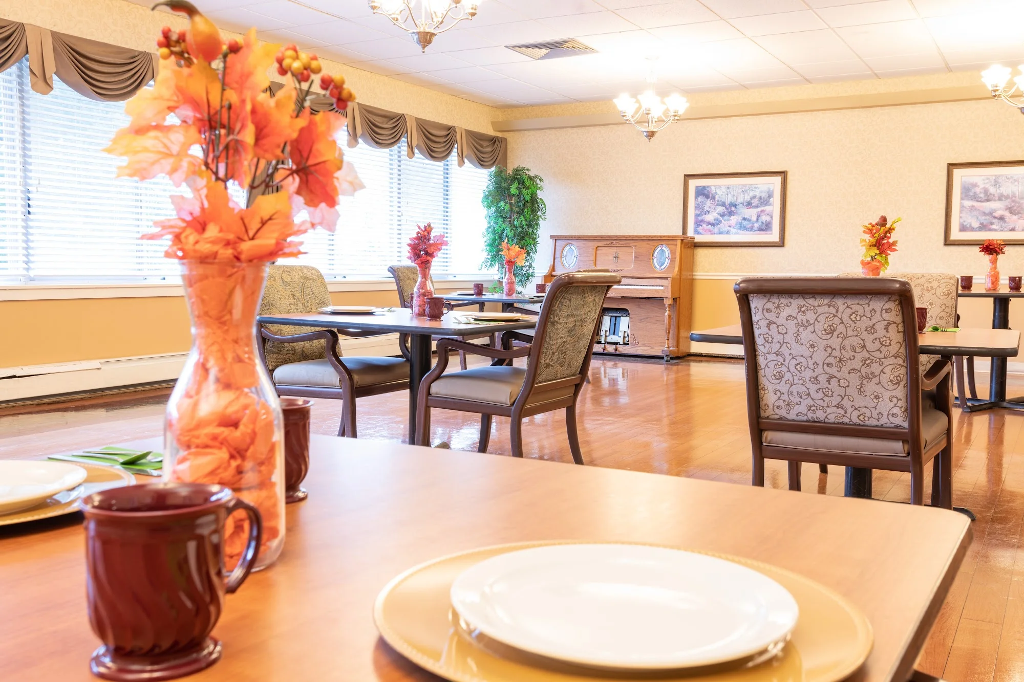 ELKINS CREST HEALTH & REHABILITATION CENTER